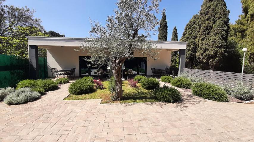 Apartmani Brajkovic Rovinj Exterior photo